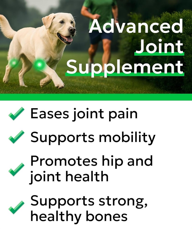 BARK&SPARK مكمل بارك آند سبارك المتقدم للكلاب المسنة من الجلوكوزامين والكوندرويتين - تخفيف آلام مفاصل الورك - مضغات مفاصل للكلاب المسنة للسلالات الكبيرة والصغيرة - مضغات مفاصل الورك لعلاجات العناية بصحة المفاصل - 120 قطعة - Image 3