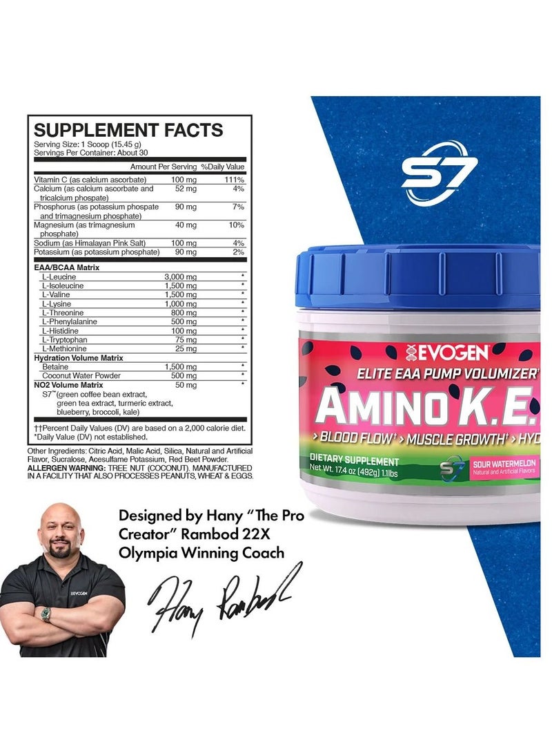 Amino K.E.M Elite EAA Sour Watermelon 492g