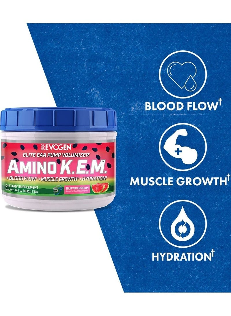 Amino K.E.M Elite EAA Sour Watermelon 492g