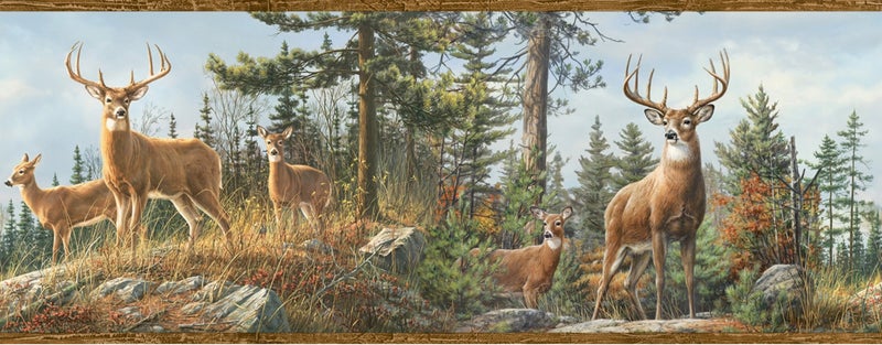 Chesapeake HTM48463B Fern Purple Whitetail Portrait Wallpaper Border - Image 4