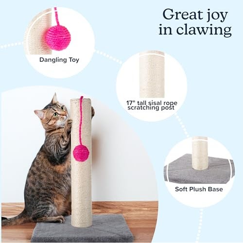 PETMAKER 17-Inch Cat Scratching Post - Sisal Rope and Carpet Scratching Pole with Bright Pink Hanging Ball Toy for Adult Cats and Kittens by PETMAKER (Gray) - Image 2