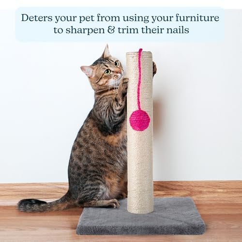 PETMAKER 17-Inch Cat Scratching Post - Sisal Rope and Carpet Scratching Pole with Bright Pink Hanging Ball Toy for Adult Cats and Kittens by PETMAKER (Gray) - Image 4