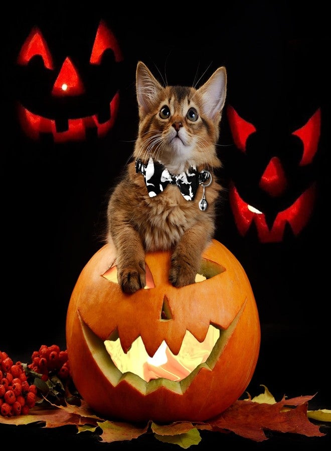 Tondiamo 8 Pcs Halloween Cat Collar Breakaway with Bell Adjustable Kitten Collar Bow Tie Cat Collar Skull Pumpkin Spider Witch Pet Collars for Puppy Cats Dog Holiday Costume - Image 5