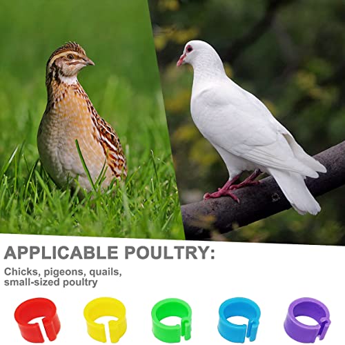 Gmeily 200Pcs 8mm Coturnix Quail Leg Bands Baby Chick Leg Bands Pigeon Bands Chicken Leg Bands Rings 8/16/20/25mm - Image 3