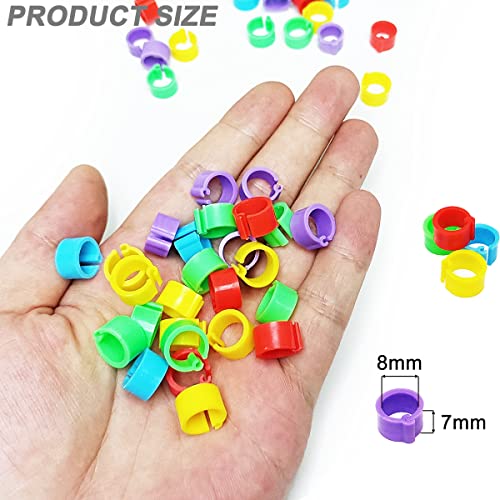 Gmeily 200Pcs 8mm Coturnix Quail Leg Bands Baby Chick Leg Bands Pigeon Bands Chicken Leg Bands Rings 8/16/20/25mm - Image 2