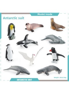 Simulation Whale Shark Tiger Shark Marine Biological Model Deep Sea Prehistoric Ancient Deng's Fish Trilobite Animal Model-Color:BL-1207 Antarctic Suit 84g