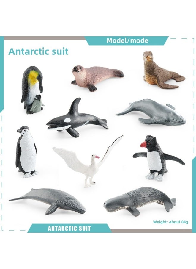 Generic - Simulation Whale Shark Tiger Shark Marine Biological Model Deep Sea Prehistoric Ancient Deng's Fish Trilobite Animal Model-Color:BL-1207 Antarctic Suit 84g - Image 1