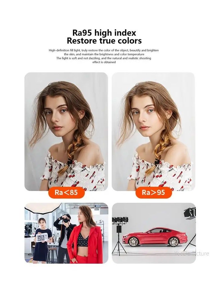 Loquat SL200D LED Photography Light 5600K Professional Photo Studio Spotlight Photography Lighting Bowens Mount - Image 3