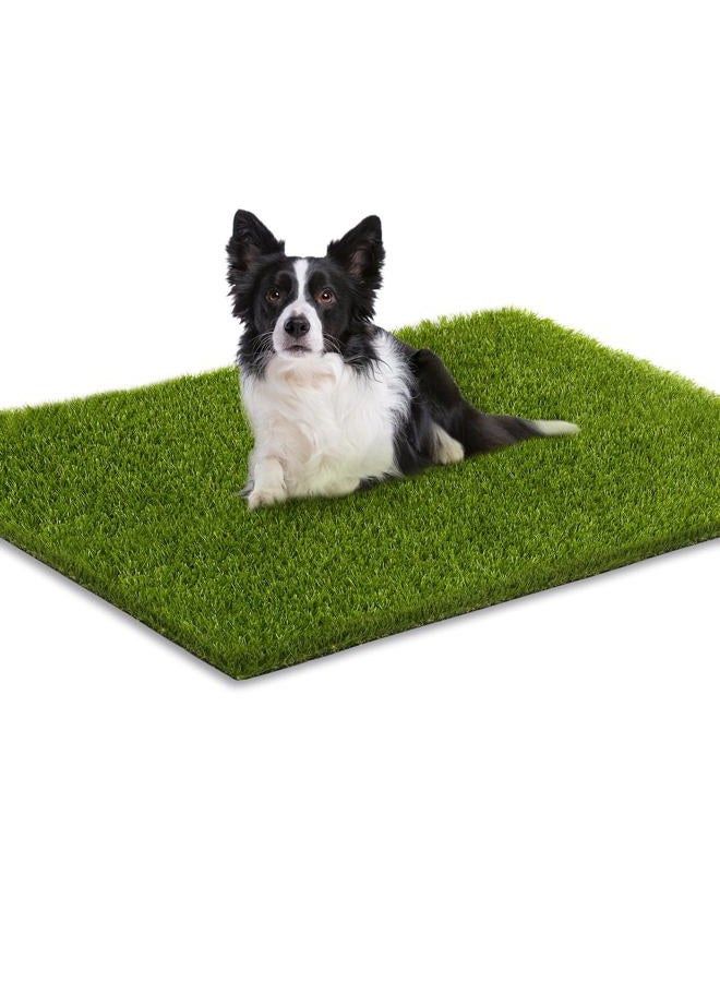 CooRug Fake Grass, 36 x 24 Inches Artificial Grass for Dogs, Realistic Turf for Indoor Outdoor Door Mat Balcony Patio Lawn Decoration - Image 1