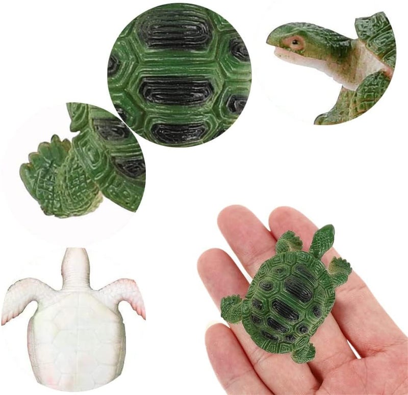 Excefore 8 Pcs Turtle Figurines Toys, Durable Model Tortoise Toys, Realistic Small Tortoise, Miniature Figurines for Kids Toddler Bathtub, Party Ornaments - Image 2
