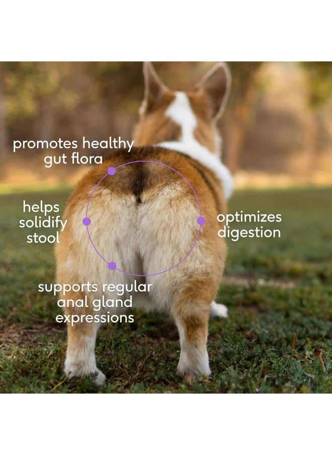 native pet - Native Pet WonderGland - Dog Anal Gland Treatment Using Fiber for Dogs - Prevent Scooting for Dogs Anal Gland Supplement Including Dog Gut Health Probiotics for Anal Gland Support - 30 Scoops - Image 1