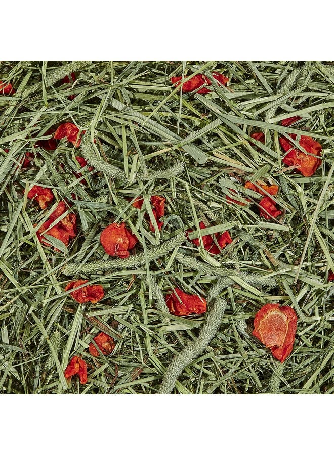 كايتي كيتي تيموثي هاي بلس، جزر، 48 أونصة، عبوة قياسية - Image 2