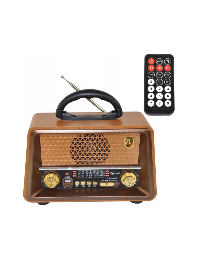 Denx Rechargeable Radio with Remote Control, Large Capacity Battery, Portable, Classic FM Radio, Supports Bluetooth, SD Card Slot, USB and AUX Port  - Image 1