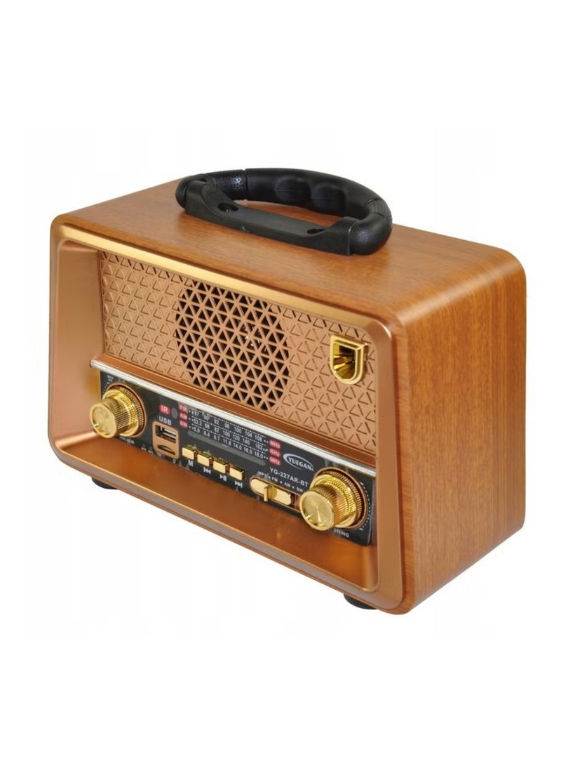 Denx Rechargeable Radio with Remote Control, Large Capacity Battery, Portable, Classic FM Radio, Supports Bluetooth, SD Card Slot, USB and AUX Port  - Image 2