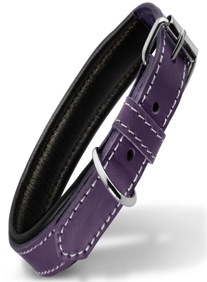 Filbert Leather Dog Collar, Genuine Leather Collar for Medium Dogs, Premium, Luxury Padded, Strong, Adjustable for All Breeds, Heavy Metal Buckle, Ultra-Durable, Purple - Image 1