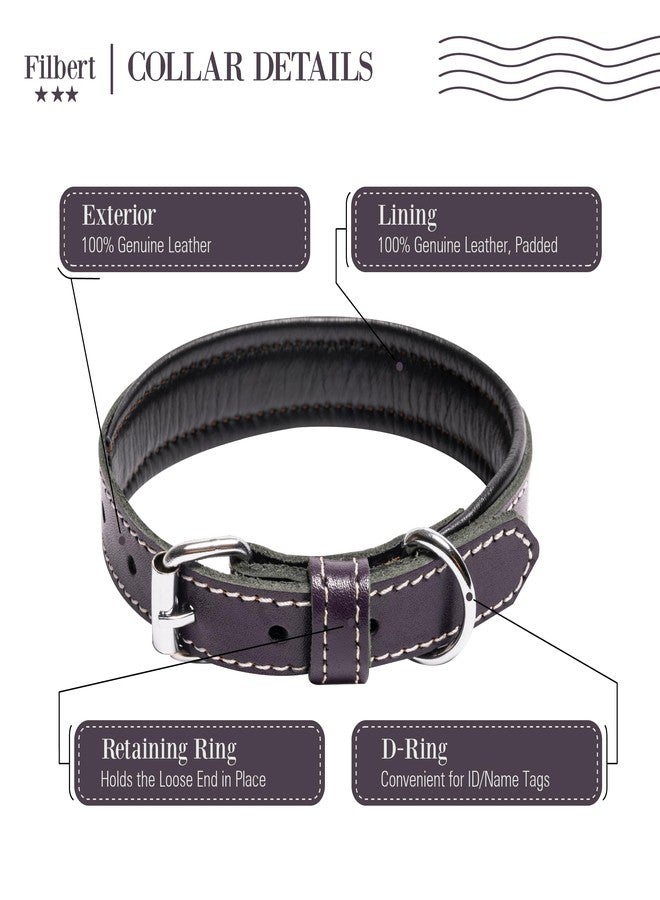 Filbert Leather Dog Collar, Genuine Leather Collar for Medium Dogs, Premium, Luxury Padded, Strong, Adjustable for All Breeds, Heavy Metal Buckle, Ultra-Durable, Purple - Image 4