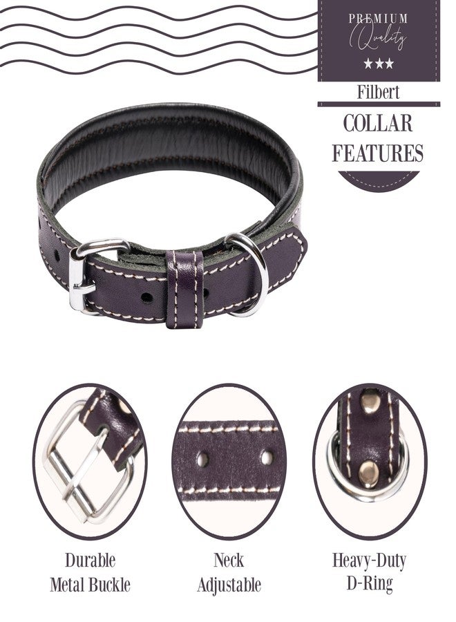 Filbert Leather Dog Collar, Genuine Leather Collar for Medium Dogs, Premium, Luxury Padded, Strong, Adjustable for All Breeds, Heavy Metal Buckle, Ultra-Durable, Purple - Image 5