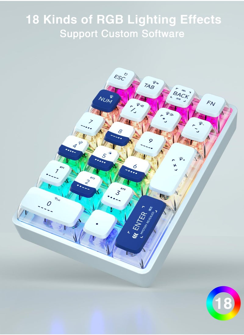 KASTWAVE - K21 RGB Backlit Tri-Mode Wireless Mechanical Number Pad Supports 3 Bluetooth/2.4GHz/Type C Wired,Hot Swappable 21 Keys Mechanical Numpad with Pudding Style PBT Keycaps - Image 1