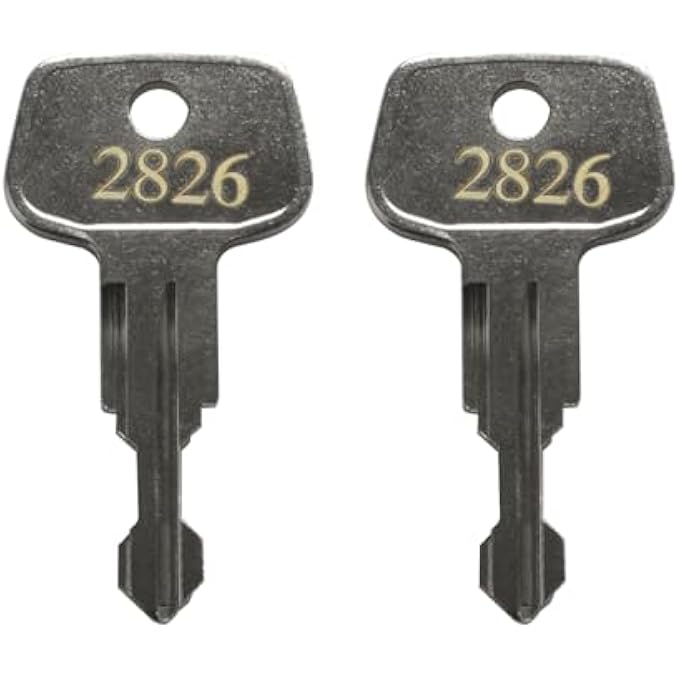 rayihni 2826 X-Cargo Luggage Roof Replacement Keys,X-Cargo Roof Rack Key Karrite Ski Bike xcargo Carrier Skyline Sportrack XL,Replacement Key for X-Cargo roof Racks[2 Pack] - Image 1