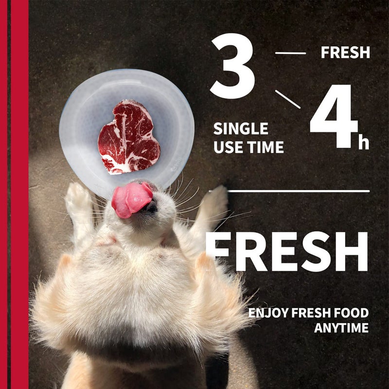 أوول فور بوز وعاء مبرد متوسط الحجم - Image 3