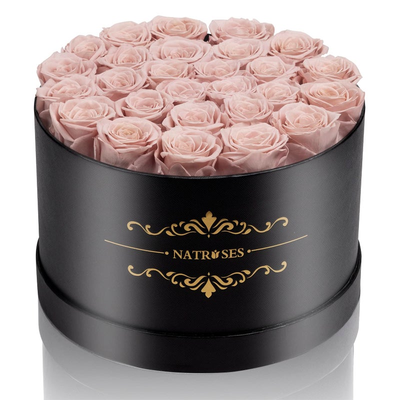 NATROSES 27 Piece Forever Preserved Roses in a Box Preserved Flowers for Delivery Birthday Flowers Gifts for Mothers Day Dusty Pink