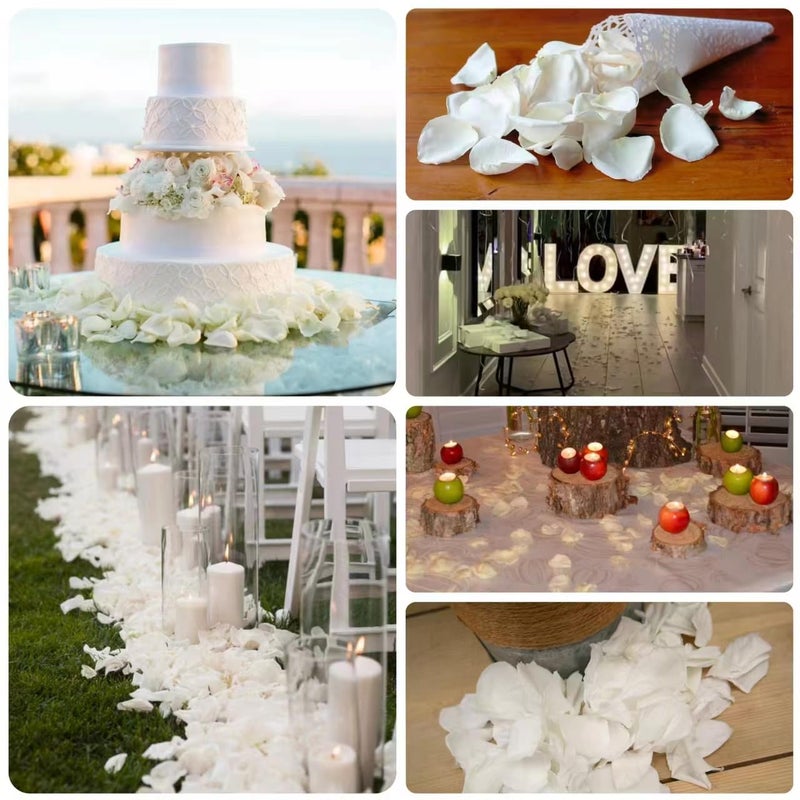 Koceko Dried Real White Rose Petals  Freeze Preserved Flower Petals 2.8 oz for Valentine's Day Gifts Wedding Party Decor  Flower Girl  Dinner table Centerpieces  Bridal Shower  Flower Confetti 80g - Image 5