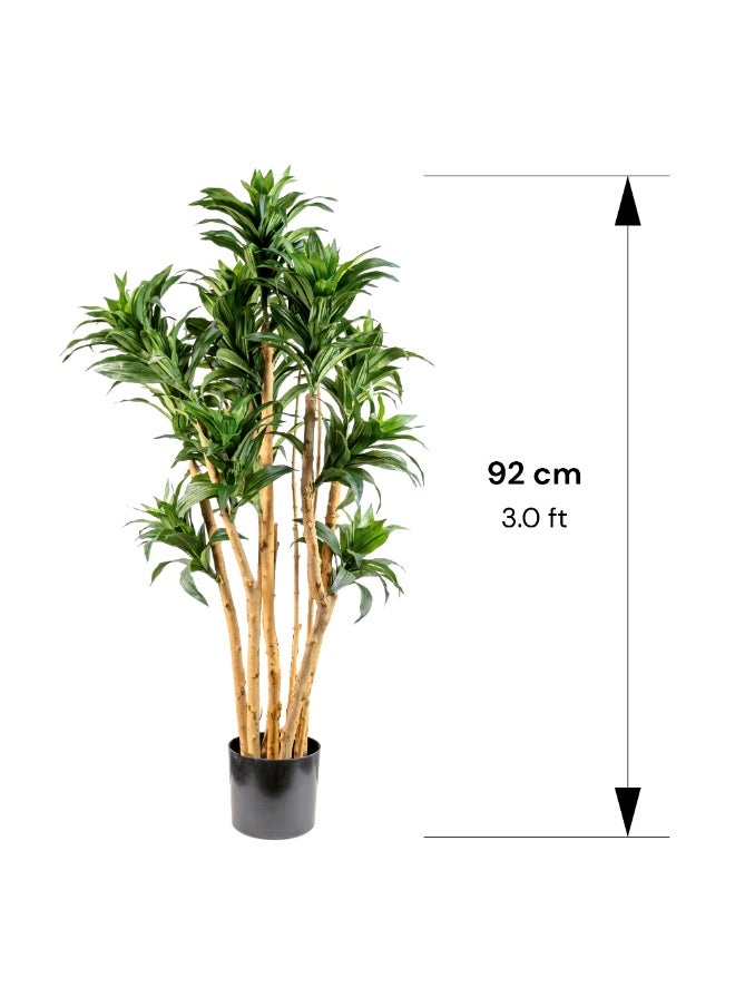 Gulf Flowers - Gulf Flowers Artificial Dracaena Fragrans Tree – 92cm Faux Plant with Real Trunk – Lush Green Indoor Decorative Tree for Home, Office & Event Display - Image 1