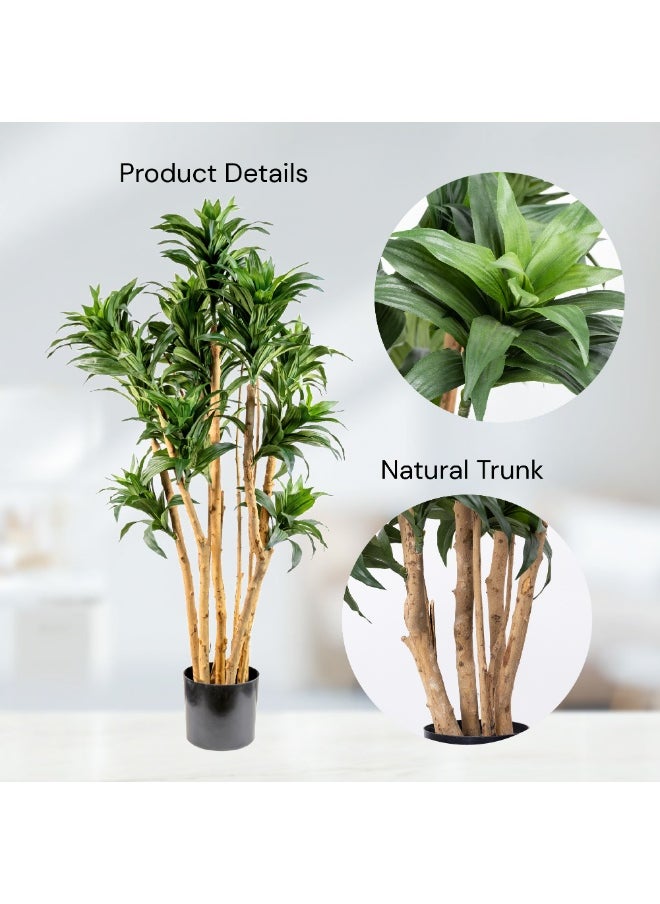 Gulf Flowers - Gulf Flowers Artificial Dracaena Fragrans Tree – 92cm Faux Plant with Real Trunk – Lush Green Indoor Decorative Tree for Home, Office & Event Display - Image 1