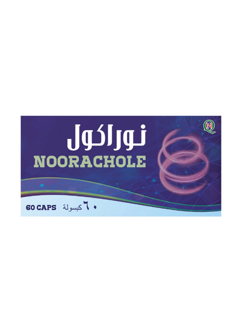 Noor AlQmar Noorachole To Enhance Gallbladder Function - 60 Capsules  - Image 1