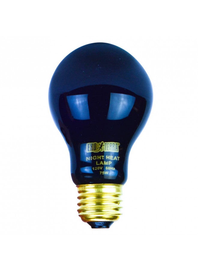 Exo Terra مصباح حرارة ضوء القمر إكسو تيرا نايت جلو، لمبة إضاءة حوض الزواحف A19، 75 واط، PT2130A1 - Image 5