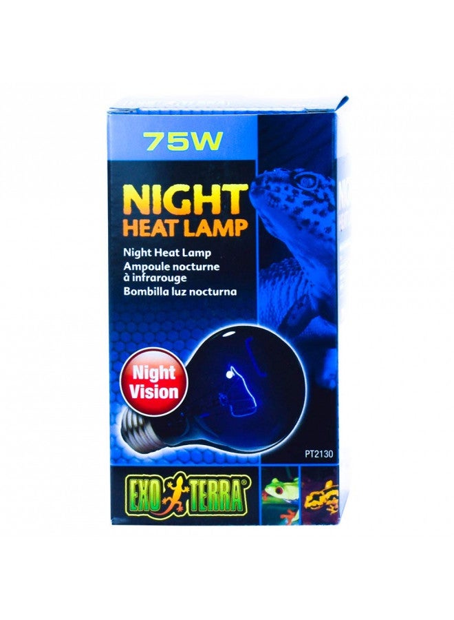 Exo Terra مصباح حرارة ضوء القمر إكسو تيرا نايت جلو، لمبة إضاءة حوض الزواحف A19، 75 واط، PT2130A1 - Image 4