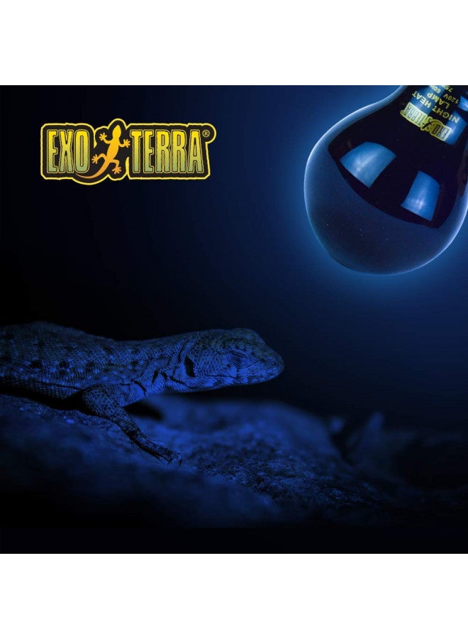 Exo Terra مصباح حرارة ضوء القمر إكسو تيرا نايت جلو، لمبة إضاءة حوض الزواحف A19، 75 واط، PT2130A1 - Image 3