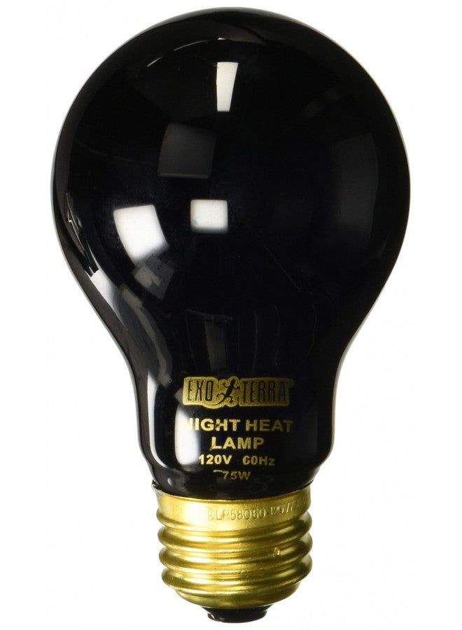 Exo Terra مصباح حرارة ضوء القمر إكسو تيرا نايت جلو، لمبة إضاءة حوض الزواحف A19، 75 واط، PT2130A1 - Image 2