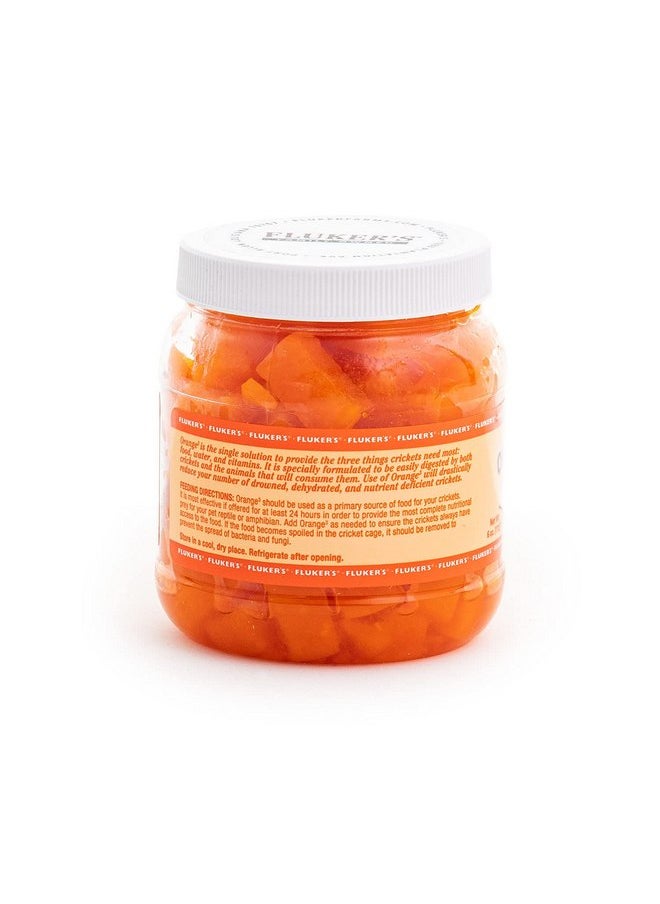 Fluker's - Fluker's Orange Cube Complete Cricket Diet, Gut Load Food for Feeder Insects and Live Crickets, Provides Vitamins, Minerals, and Hydration, 6 oz - Image 1