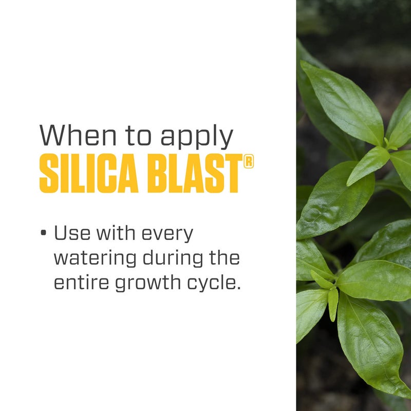 Botanicare Silica Blast, Plant Supplement, 0-0-0.5, 1 qt. - Image 5