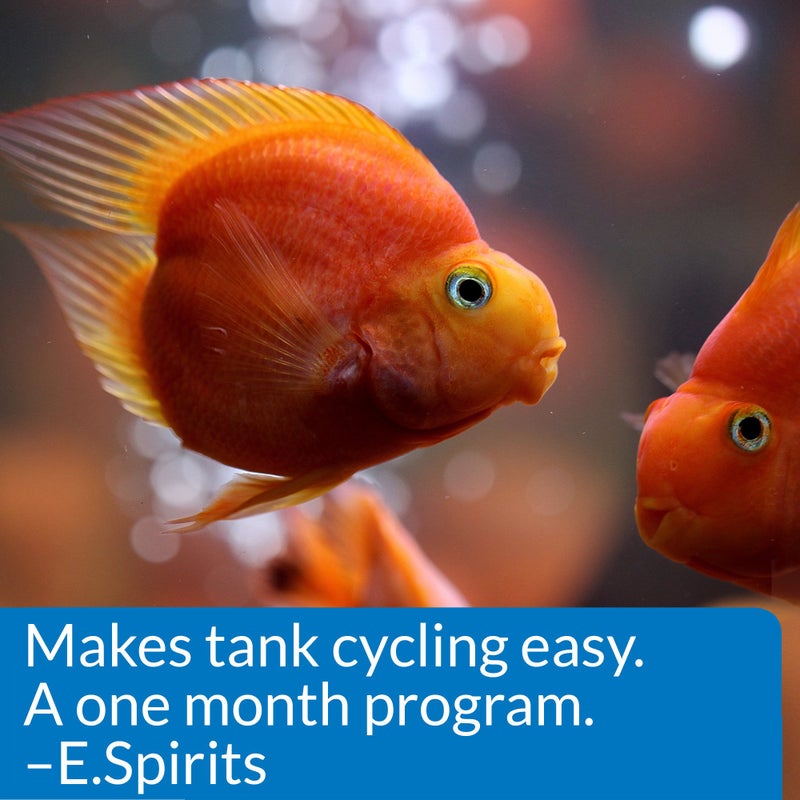 API AQUARIUM START UP PACK Water Conditioner 1.25-Ounce Bottle 2-Pack - Image 5