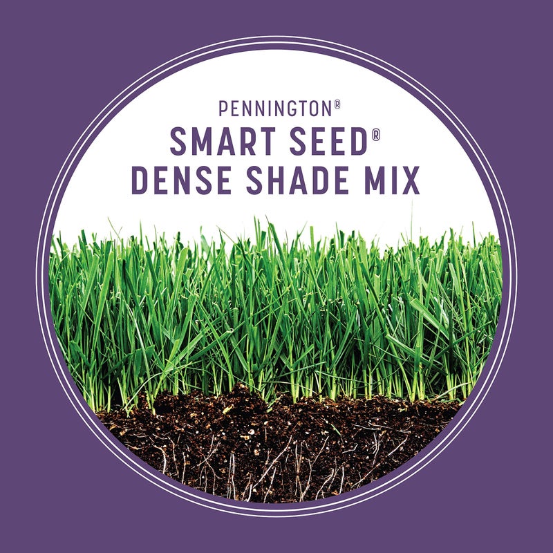 Pennington Smart Seed Dense Shade Grass Mix Bag 7 lb - Image 5