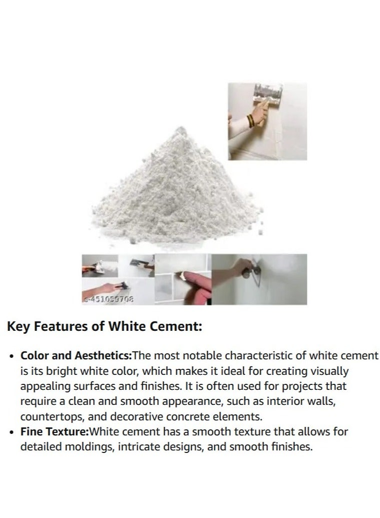 ABBASALI White Cement 2kg With Bucket - Image 4