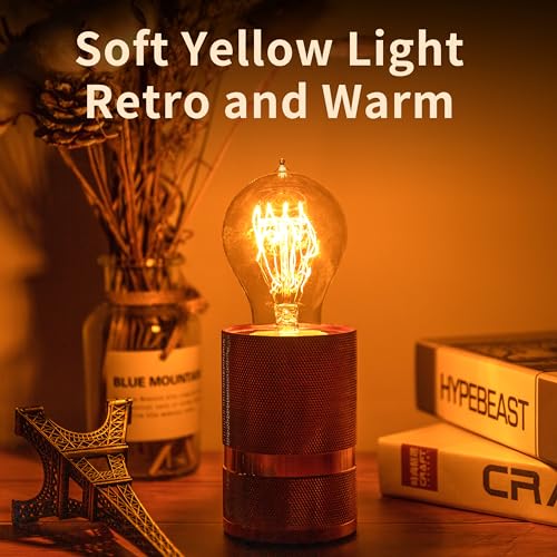 runquiz Warm Incandescent Light Bulbs 60 Watt,A19/A60 Vintage Style Edison Bulbs E26,Soft Yellow Light Bulbs,Amber Bulbs,Retro Light Bulb Old Fashioned,Halogen Dimmable Edison Bulb Squirrel Cage - Image 5