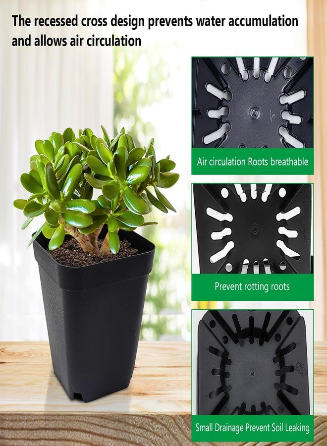 RooTrimmer Black 90-Pack 3.54 X 3.54 inches Square Nursery Seedling Flower Pot Plastic Thick Seed Start Germination Pot for Plant Propagation and Seeding,Sturdy Suit for 1020 Trays - Image 4