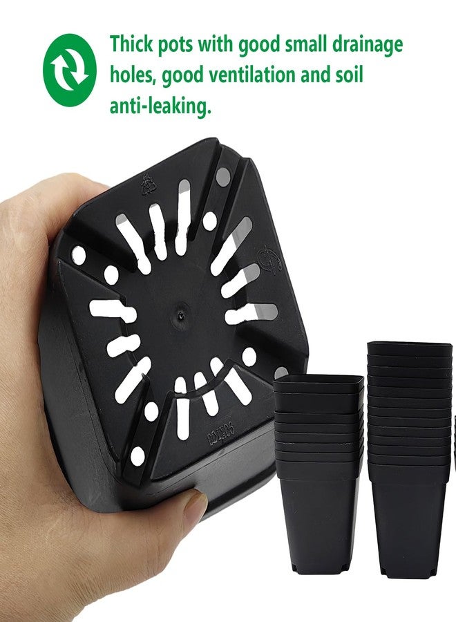 RooTrimmer Black 90-Pack 3.54 X 3.54 inches Square Nursery Seedling Flower Pot Plastic Thick Seed Start Germination Pot for Plant Propagation and Seeding,Sturdy Suit for 1020 Trays - Image 5