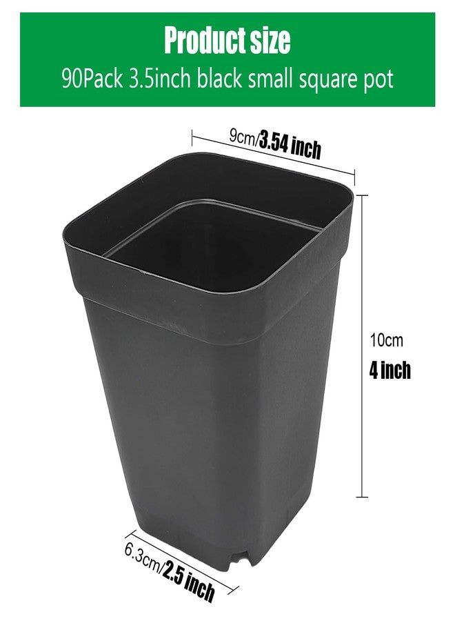 RooTrimmer Black 90-Pack 3.54 X 3.54 inches Square Nursery Seedling Flower Pot Plastic Thick Seed Start Germination Pot for Plant Propagation and Seeding,Sturdy Suit for 1020 Trays - Image 2