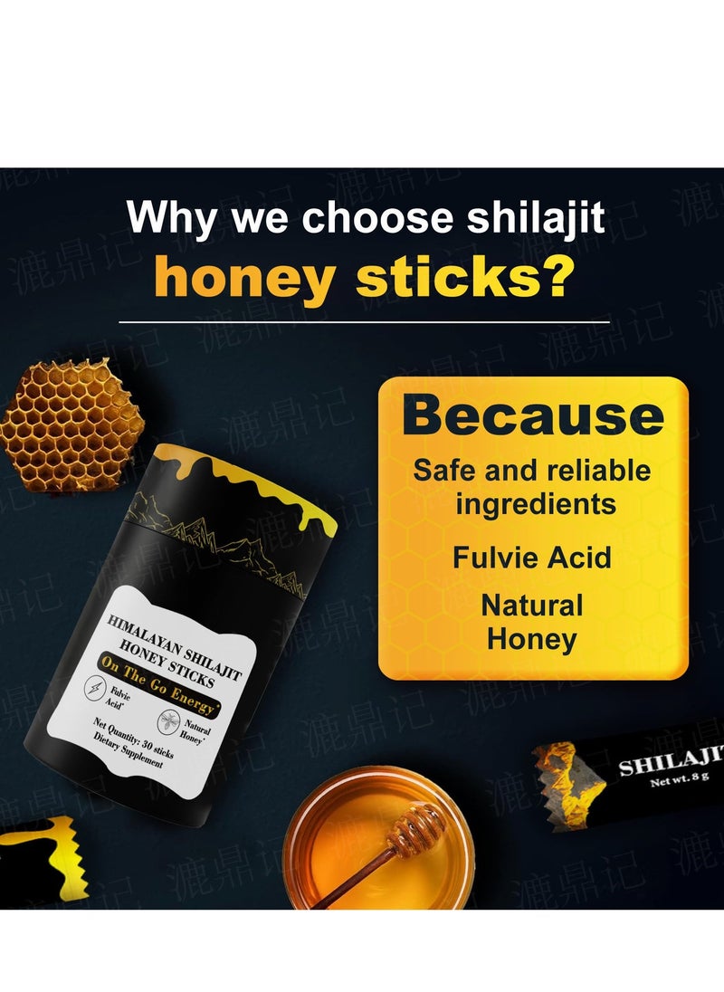 Shilajit RX - GOLD+ Shilajit Honey Sticks | Lab-Tested for Purity | Helps Improve Energy & Stamina | 30 Shilajit Honey Packs | Dietary Supplement Healthcare Vitamin - Image 1