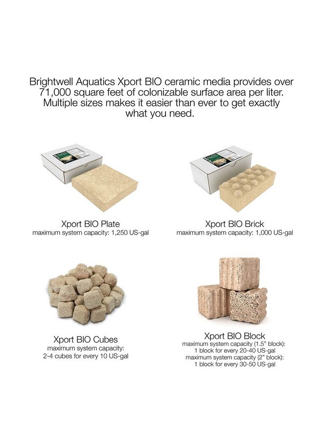 برايت ويل أكواتيكس - Xport Bio Dimpled Brick - وسائط الطوب البيولوجي فائقة المسامية للأحواض البحرية والمياه العذبة (Xpbricbio) - Image 1