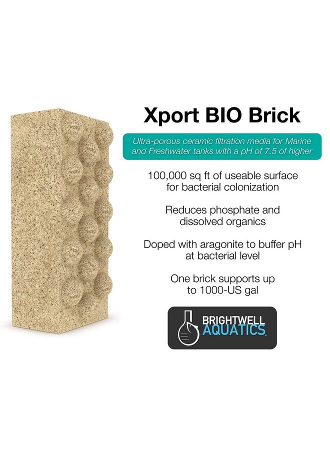 برايت ويل أكواتيكس - Xport Bio Dimpled Brick - وسائط الطوب البيولوجي فائقة المسامية للأحواض البحرية والمياه العذبة (Xpbricbio) - Image 1