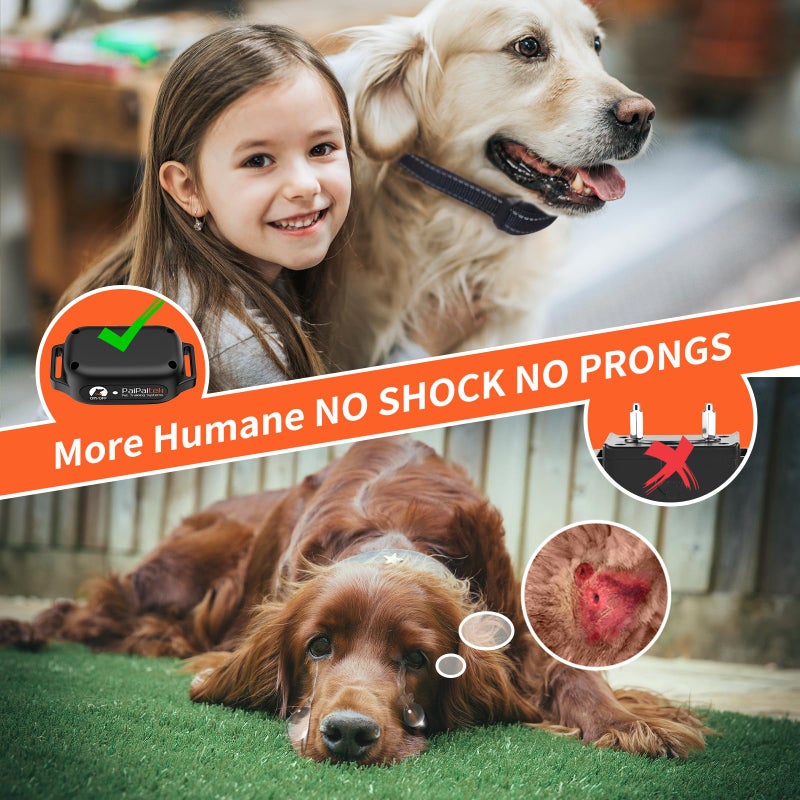 PaiPaitek No Shock Dog Training Collar with Remote 3300ft Range, Strong Vibrating Dog Collar Beep and Vibrate Only, Waterproof & Rechargeable Vibration Collar for Small Medium Large Dogs - No Prongs - Image 2