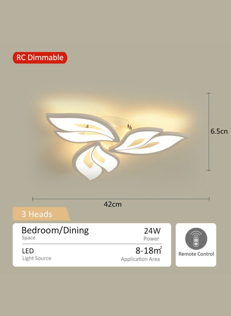 Trending Lights Adjustable Three-Color Temperature decoration lights With infrared remote control Modern minimalist style ceiling lights led lights Suitable for living room, bedroom and dining room - Image 2