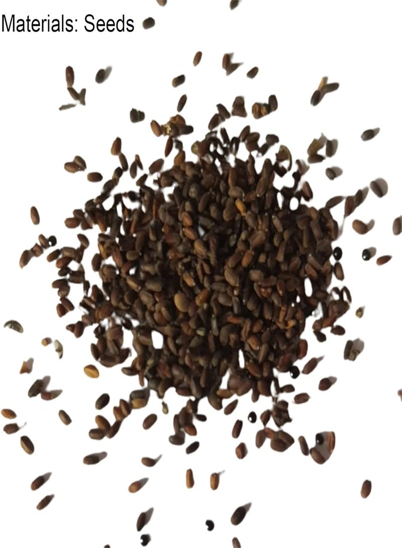 GGOOT 100Pcs/Bag Bougainvillea Seeds Neutral Climbing Medium Sun Georgia Seeds for Gardens Orange - Image 5