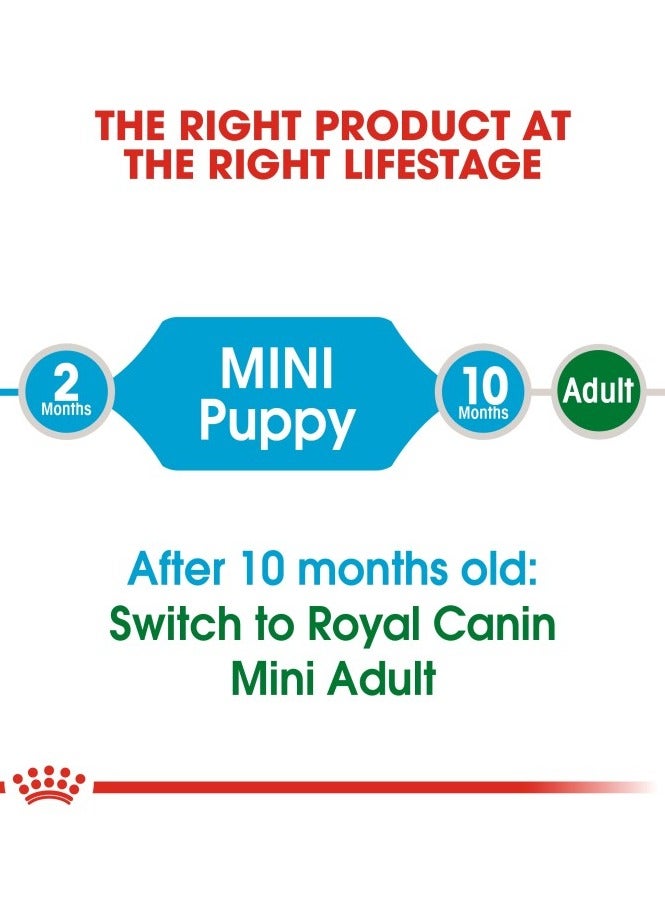 رويال كانين حجم صحة التغذية جرو صغير 2 كجم - Image 4