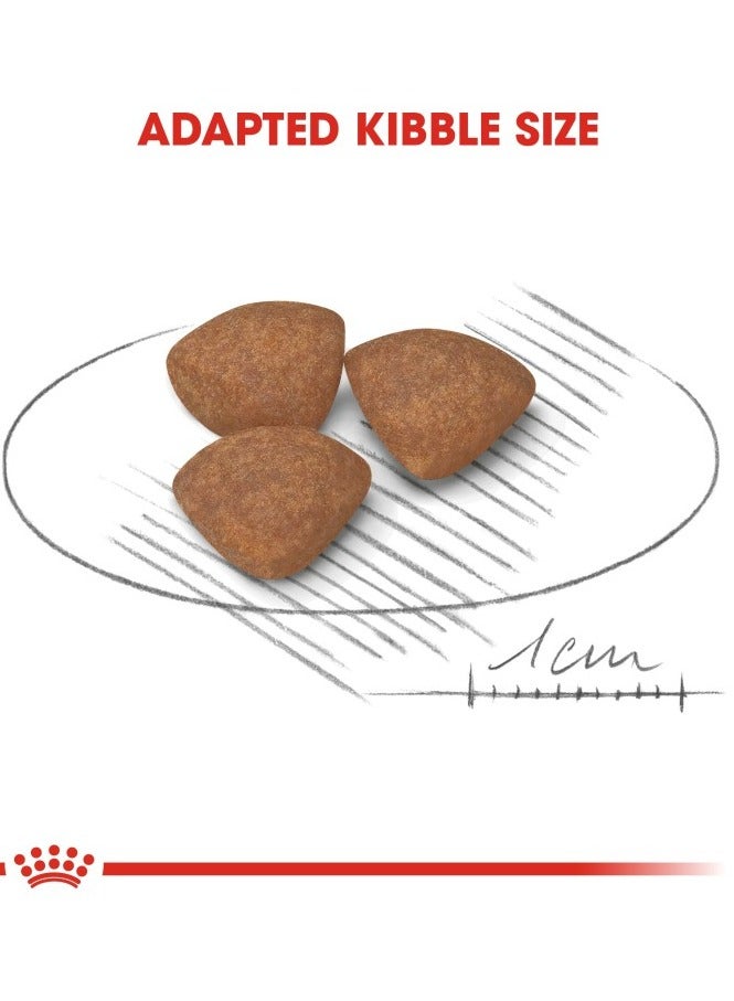 رويال كانين حجم صحة التغذية جرو صغير 2 كجم - Image 5